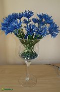 dscf4578