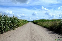 dsc_5659