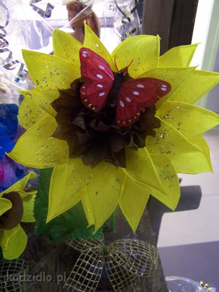 image00023.jpg