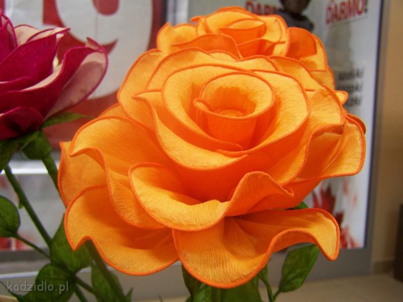 image00048.jpg