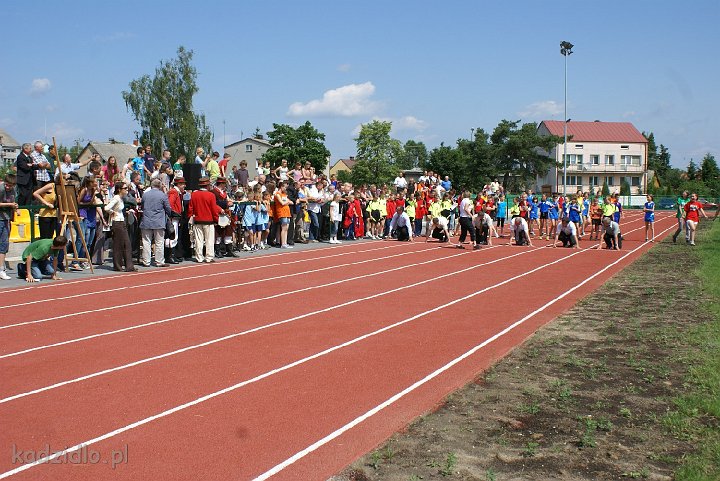dsc01010.jpg