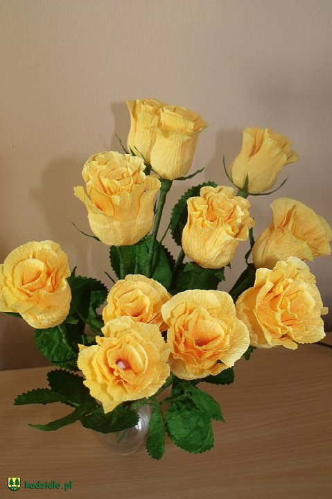dscf4584.jpg