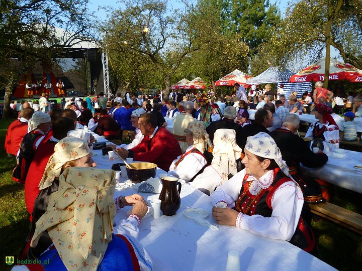 p1010251.jpg