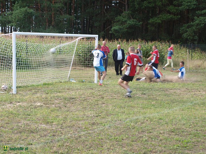 p8236952.jpg