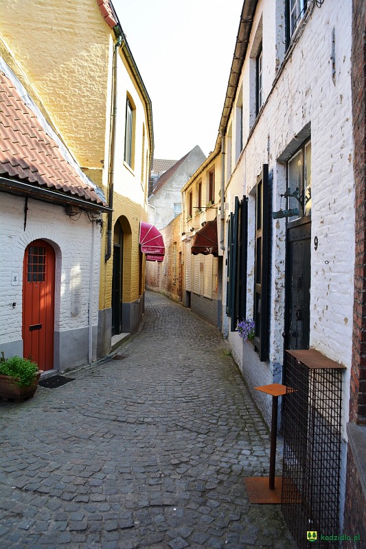 dsc_0273.jpg