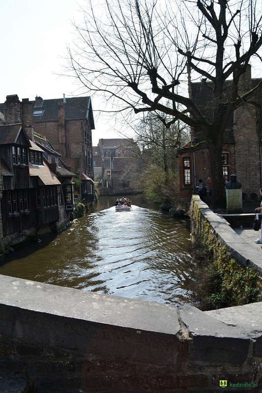 dsc_0291.jpg