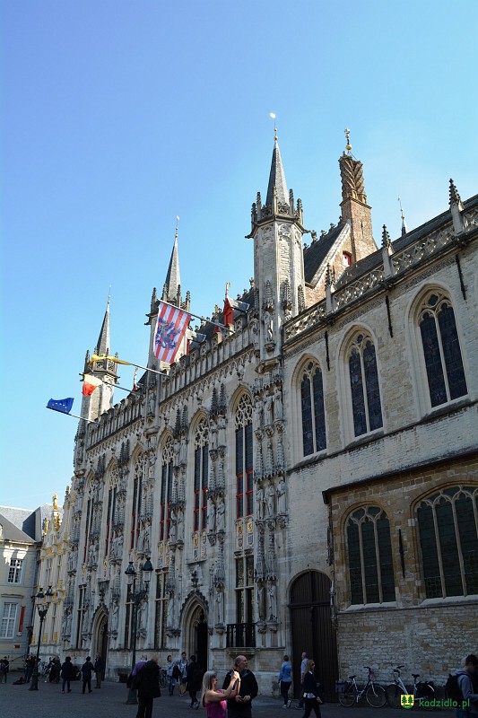 dsc_0337.jpg