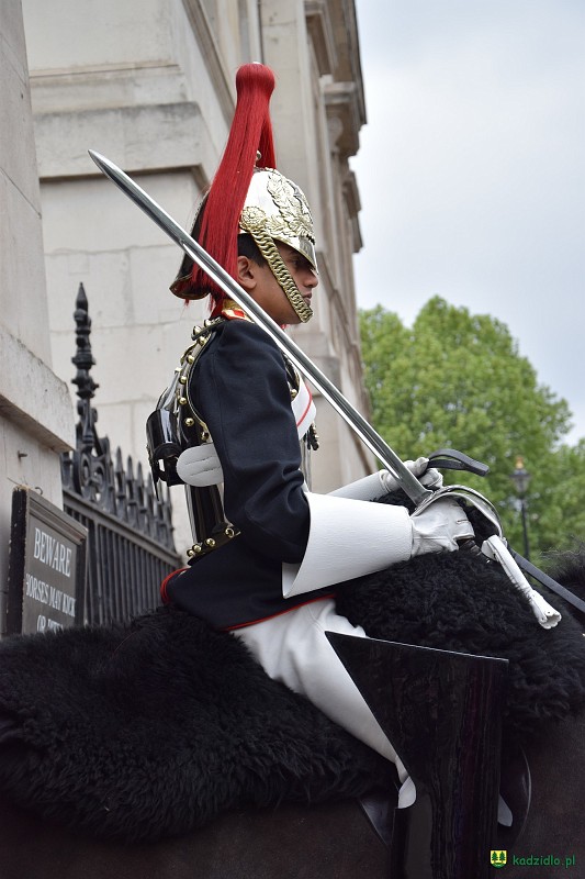 dsc_0084.jpg