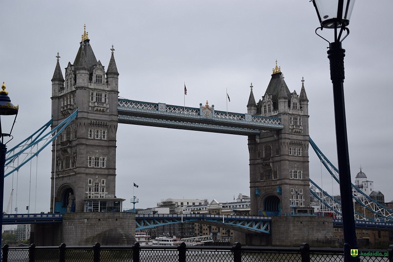 dsc_0466.jpg
